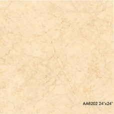 AA6202