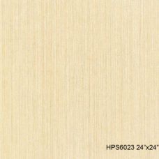 HPS6023
