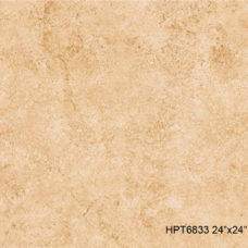 HPT6833