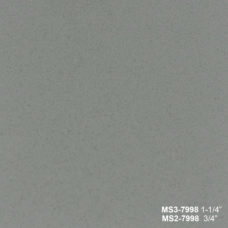 MS 7998
