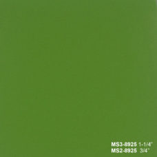 MS 8925