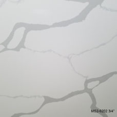 MS2-9202