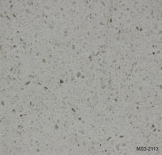 MS3-2113