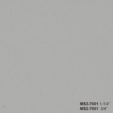 MS3-7001
