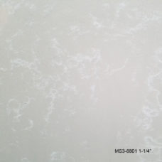 MS3-8801zoom3_M1