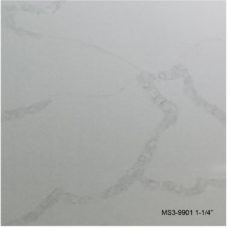 MS3-9901_P